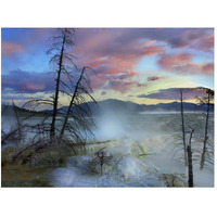 Steam rising from travertine formations, Minerva Terrace, Mammoth Hot Springs, Yellowstone National Park, Wyoming-Paper Art-50"x38"