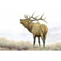 Majestic Elk Brown -Paper Art-38&quotx26"