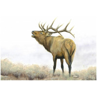 Majestic Elk Brown -Paper Art-50"x34"