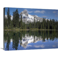 Wiwaxy Peaks and Cathedral Mountain at Lake O"Hara, Yoho National Park, British Columbia, Canada-Canvas Art-28"x22"