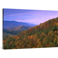 Appalachian Mountains ablaze with fall color, Great Smoky Mountains National Park, North Carolina-Canvas Art-40&quotx30"