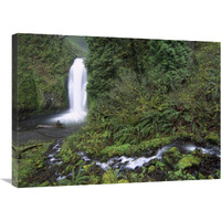 Multnomah Falls cascading through temperate rainforest, Columbia River Gorge near Portland, Oregon-Canvas Art-32"x24"