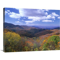 Deciduous forest in the autumn from Thunderstruck Ridge Overlook, Blue Ridge Parkway, North Carolina-Canvas Art-32"x24"