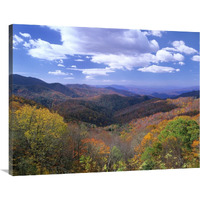 Deciduous forest in the autumn from Thunderstruck Ridge Overlook, Blue Ridge Parkway, North Carolina-Canvas Art-40"x30"