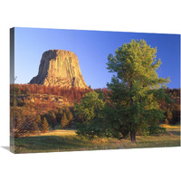 Devil"s Tower National Monument showing famous basalt tower, sacred site for Native Americans, Wyoming-Canvas Art-32"x24"