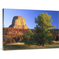 Devil"s Tower National Monument showing famous basalt tower, sacred site for Native Americans, Wyoming-Canvas Art-40"x30"