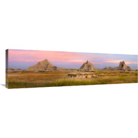 Landscape showing erosional features in sandstone amid grassland, Badlands National Park, South Dakota-Canvas Art-44"x12.76"