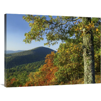 Broadleaf forest in fall colors as seen from Doyles River Overlook, Shenandoah National Park, Virginia-Canvas Art-40"x30"