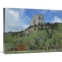 Devil"s Tower National Monument showing famous basalt tower, sacred site for Native Americans, Wyoming-Canvas Art-32"x24"