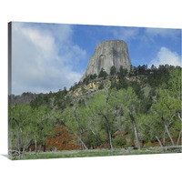 Devil"s Tower National Monument showing famous basalt tower, sacred site for Native Americans, Wyoming-Canvas Art-40"x30"