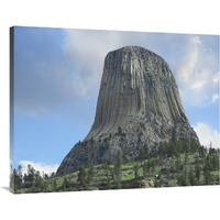 Devil&quots Tower National Monument showing famous basalt tower, sacred site for Native Americans, Wyoming-Canvas Art-40&quotx30"