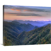 Deciduous forest covering mountains, Newfound Gap, Great Smoky Mountains National Park, North Carolina-Canvas Art-30"x25.2"