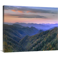 Deciduous forest covering mountains, Newfound Gap, Great Smoky Mountains National Park, North Carolina-Canvas Art-36"x30.24"