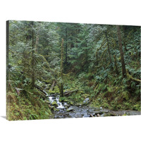 Cascade along Eagle Creek flowing through temperate old growth rainforest, Columbia River Gorge, Oregon-Canvas Art-40"x30"