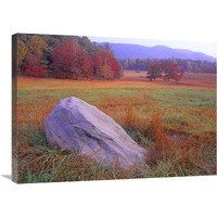 Boulder and autumn colored deciduous forest, Cades Cove, Great Smoky Mountains National Park, Tennessee-Canvas Art-32&quotx24"