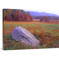 Boulder and autumn colored deciduous forest, Cades Cove, Great Smoky Mountains National Park, Tennessee-Canvas Art-40&quotx30"