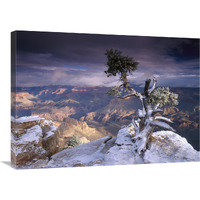 South Rim of Grand Canyon with a dusting of snow seen from Yaki Point, Grand Canyon National Park, Arizona-Canvas Art-32"x24"