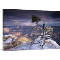 South Rim of Grand Canyon with a dusting of snow seen from Yaki Point, Grand Canyon National Park, Arizona-Canvas Art-40"x30"