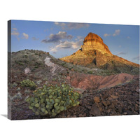 Prickly Pear Cactus at Cerro Castellan, Chihuahuan Desert, Big Bend National Park, Chihuahuan Desert, Texas-Canvas Art-32"x24"