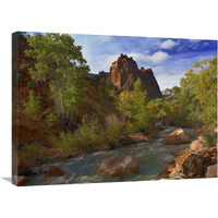 Mt Spry at 5,823 foot elevation with the Virgin River surrounded by Cottonwood trees, Zion National Park, Utah-Canvas Art-32"x24"