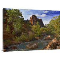 Mt Spry at 5,823 foot elevation with the Virgin River surrounded by Cottonwood trees, Zion National Park, Utah-Canvas Art-40&quotx30"