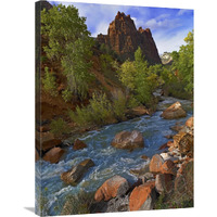 Mt Spry at 5,823 foot elevation with the Virgin River surrounded by Cottonwood trees, Zion National Park, Utah-Canvas Art-24&quotx32"