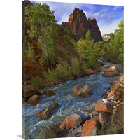 Mt Spry at 5,823 foot elevation with the Virgin River surrounded by Cottonwood trees, Zion National Park, Utah-Canvas Art-30"x40"