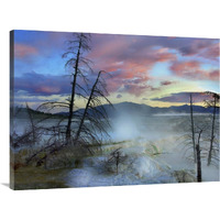 Steam rising from travertine formations, Minerva Terrace, Mammoth Hot Springs, Yellowstone National Park, Wyoming-Canvas Art-40"x30"