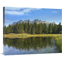 Yellowhead Mountain and Yellowhead Lake with boreal forest, Mount Robson Provinvial Park, British Columbia, Canada-Canvas Art-35"x28"