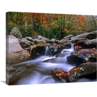 Little Pigeon River cascading among rocks and colorful Maple leaves, Great Smoky Mountains National Park, Tennessee-Canvas Art-28"x22"