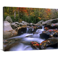 Little Pigeon River cascading among rocks and colorful Maple leaves, Great Smoky Mountains National Park, Tennessee-Canvas Art-35&quotx28"