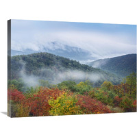 Broadleaf forest in fall colors, Skyline Drive, Shenandoah National Park, Virginia-Canvas Art-32"x24"