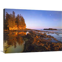 Tidepools exposed at low tide, Botanical Beach, Juan de Fuca Provincial Park, Vancouver Island, British Columbia, Canada-Canvas Art-32"x24"