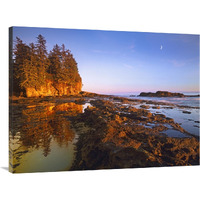 Tidepools exposed at low tide, Botanical Beach, Juan de Fuca Provincial Park, Vancouver Island, British Columbia, Canada-Canvas Art-40"x30"