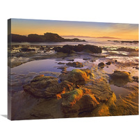 Tidepools exposed at low tide, Botanical Beach, Juan de Fuca Provincial Park, Vancouver Island, British Columbia, Canada-Canvas Art-32"x24"