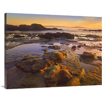 Tidepools exposed at low tide, Botanical Beach, Juan de Fuca Provincial Park, Vancouver Island, British Columbia, Canada-Canvas Art-40"x30"