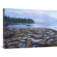 Tide pools exposed at low tide, Botanical Beach, Juan de Fuca Provincial Park, Vancouver Island, British Columbia, Canada-Canvas Art-32"x24"