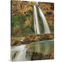 Havasu Creek, lined with Cottonwood trees, Havasu Falls, Grand Canyon, Arizona-Canvas Art-30"x40"