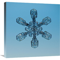 Snowflake seen through microscope-Canvas Art-24"x24"