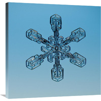 Snowflake seen through microscope-Canvas Art-30"x30"