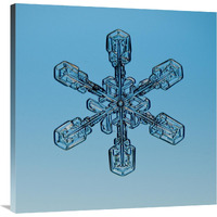 Snowflake seen through microscope-Canvas Art-36"x36"