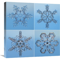 Snowflakes seen through microscope-Canvas Art-24"x24"