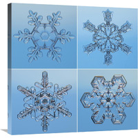 Snowflakes seen through microscope-Canvas Art-30&quotx30"