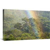 Rainbow over rainforest canopy, Costa Rica-Canvas Art-30"x20"