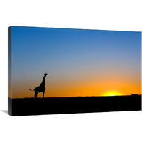 Giraffe silhouetted against the setting sun, Lethiau Valley, Central Kalahari Game Reserve, Botswana-Canvas Art-30&quotx20"