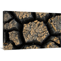 Cracked, dried out mud, Mokolodi Nature Reserve, Botswana-Canvas Art-36"x24"