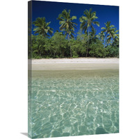 Tropical scene with palm trees, Uoleva Island, Ha"apai Group, Tonga-Canvas Art-20"x30"