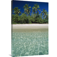 Tropical scene with palm trees, Uoleva Island, Ha"apai Group, Tonga-Canvas Art-24"x36"