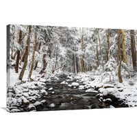 Stream in winter, Nova Scotia, Canada-Canvas Art-36"x24"