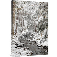 Stream in winter, Nova Scotia, Canada-Canvas Art-24"x36"